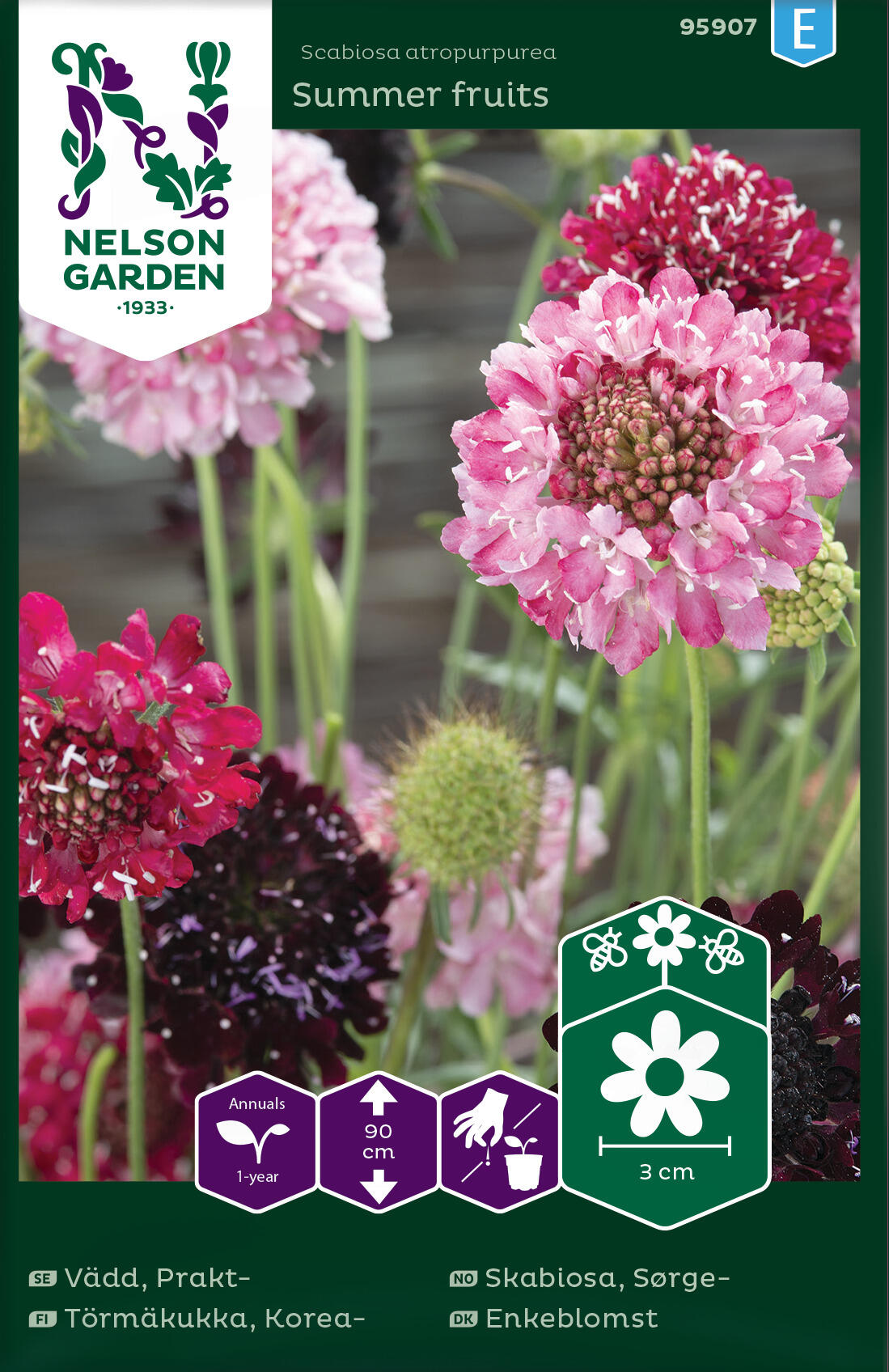 Mourgeskabiosa 'Sommarfrukter'